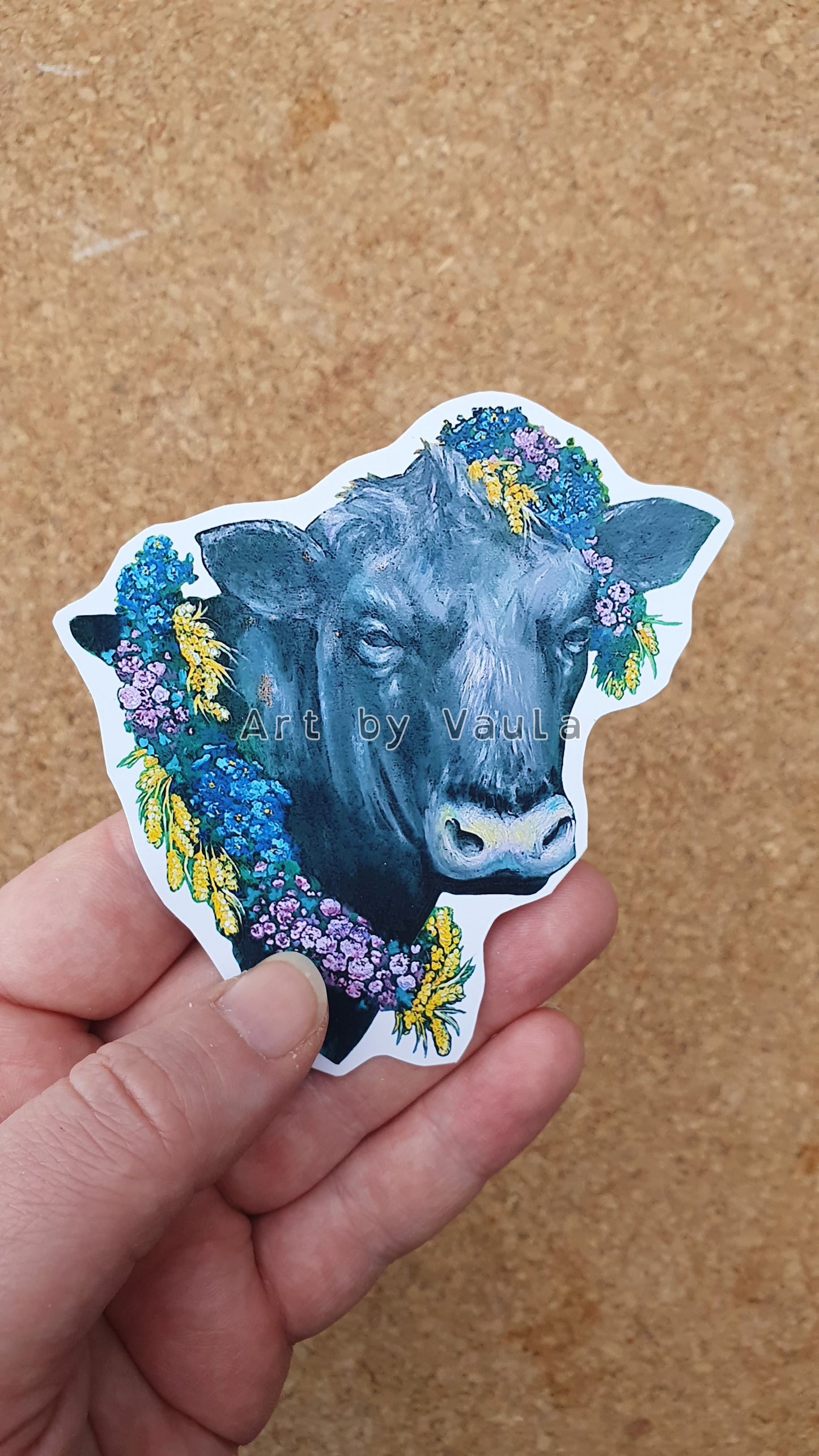 Midsummer angus cow -sticker