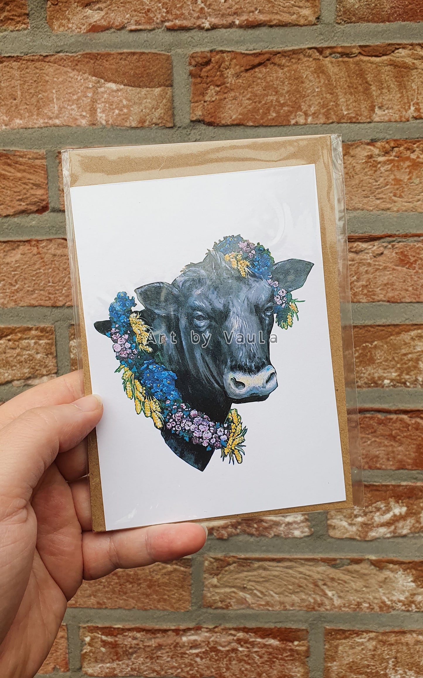 Midsummer Angus Cow card