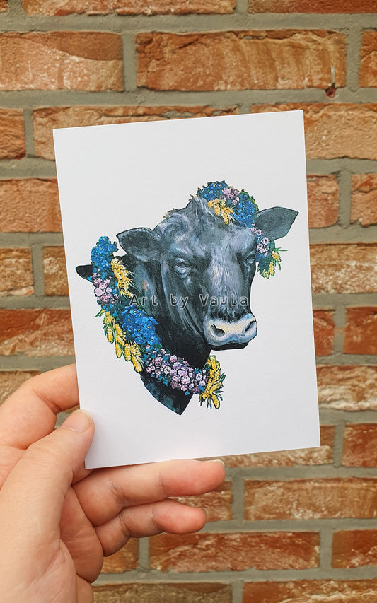 Midsummer Angus Cow card