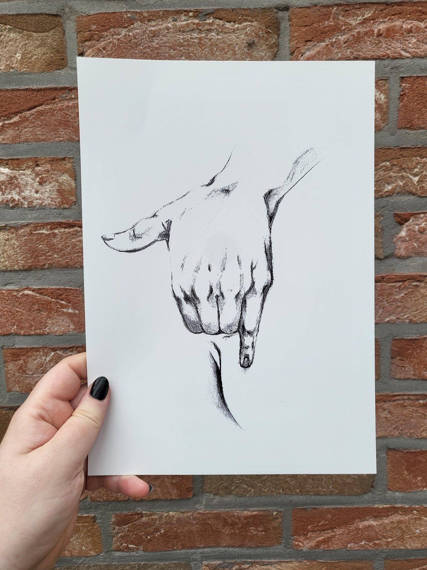 Wandering hands -collection